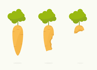Icon Set Carrot