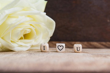 Fototapeta premium I love you Valentinstatg romantisch mit weißer Rose