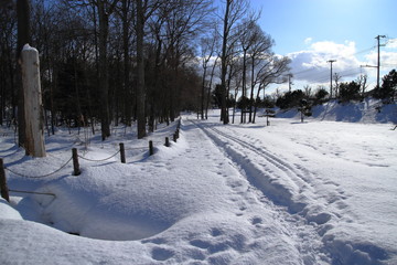 Traces on the snow