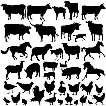 Vector silhouettes of farm animals