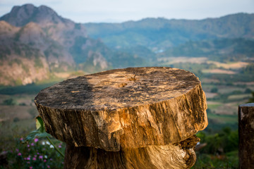 Fototapeta premium Wood chair on the natural