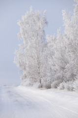 Winter russian forest snow road