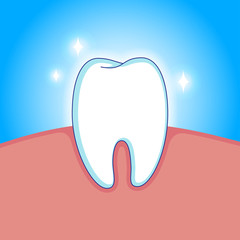 The snow-white sparkling tooth in the gum. Vector illustration EPS10.
