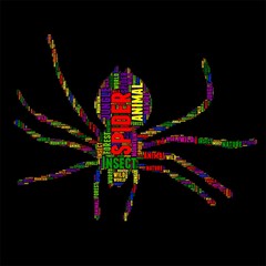 Insect Typography word cloud colorful Vector illustration