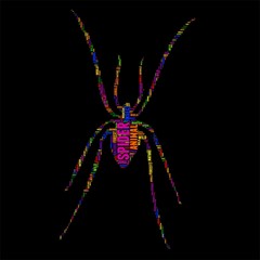 Insect Typography word cloud colorful Vector illustration