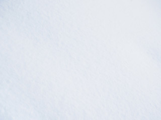 Clear snow. Natural winter background. Texture of many snowflakes.