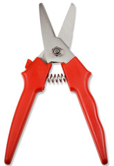 Zange als Freisteller auf weißen Hintergrund 