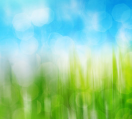Obraz premium Blurry green grass and sky. Abstract spring natural background with beauty bokeh.