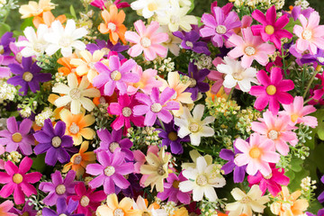 Flower backgrounds include different colors.