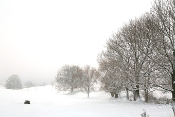 Fototapeta na wymiar Winterlandschaft