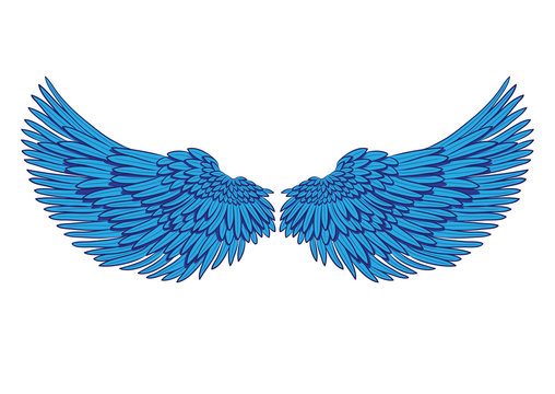 vector pair of blue wings isolated on white
