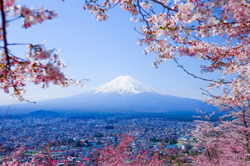 Mt. Fuji with Japanese Cherry Blossoms at  Japan