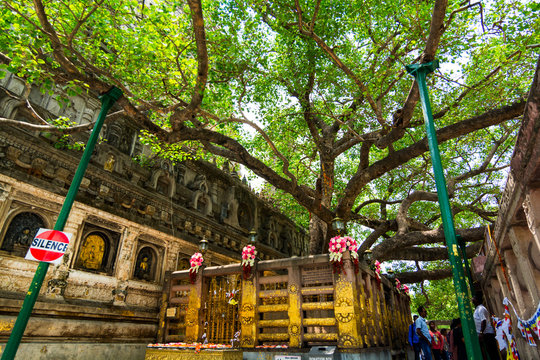  Bodh Gaya is the place where Gautama Buddha is said to have obtained Enlightenment.