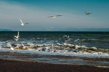 journey at sea