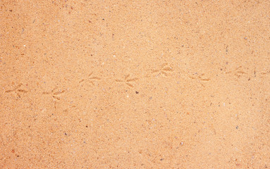 detailed texture of sand surface