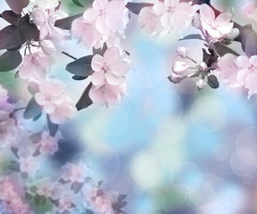Fototapeta na wymiar Blossoming apple. Spring time. Background. Dawn in the garden.