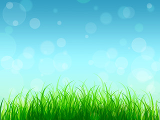 Fototapeta premium Young grass and blue sky. Background. Spring. Summer. Card.