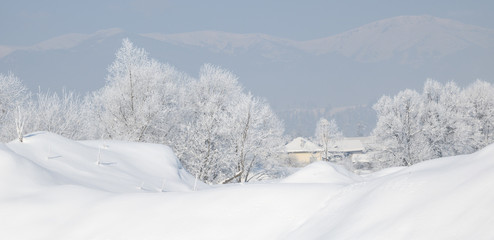 Fantastic winter landscape. Trees covered with hoarfrost and sno