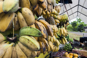 Hawaiian Fruit Stall