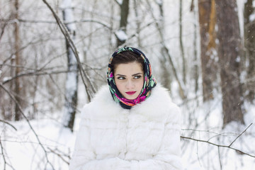 Portrait of winter in the forest