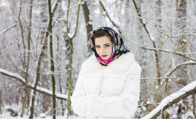 Fototapeta na wymiar Portrait of winter in the forest