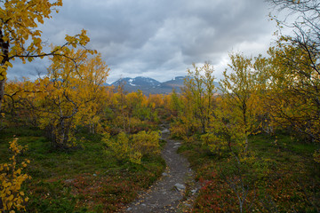 Obraz premium Mountain landscape in northern Sweden. Abisko national park