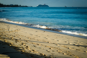a tropical golden beach in the caribbean with clear waters and palm trees