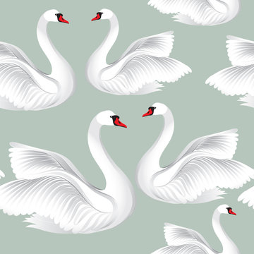 White birds  seamless pattern. Wildlife background. Swimming swans tile ornament