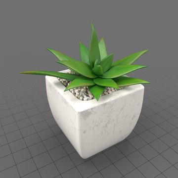 Plant Decor 03
