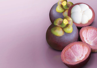 Mangosteen on purple solid background