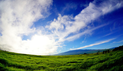 Mountain over Pasture