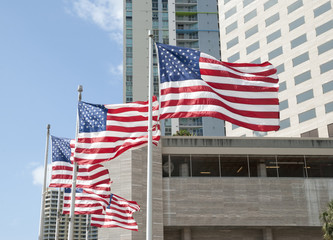 Flags Of The United States