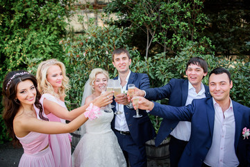 Newlyweds and their friends clang glasses with champagne standin
