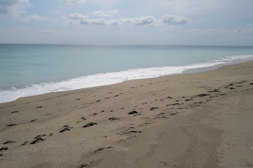 Beach shoreline sand feet