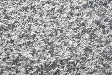 texture of ice covered hoarfrost