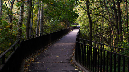 Obraz premium footbridge sprinkled with autumn leaves