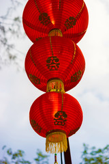 Chinese Lanterns at New Year Festival