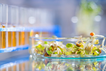 Quality control of bean sprouts, scientific or medical backgroun