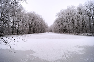 Gefrorener Waldsee