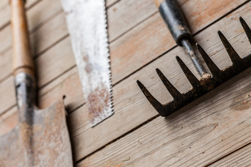 Old rustic tools on wooden texture background. Image rake with blurred background with shovel, saw.