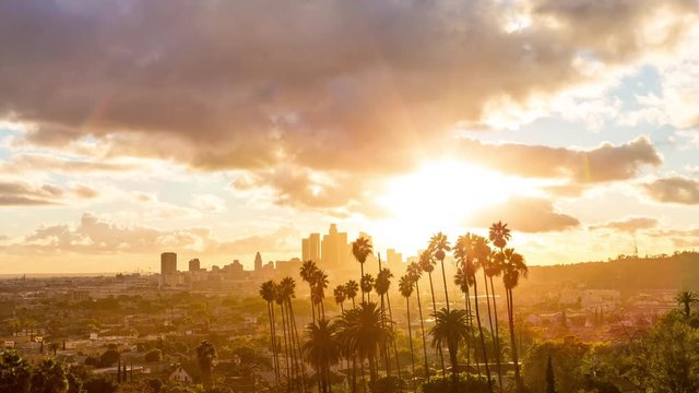 Los Angeles Golden Hour With Clouds and Palm Trees Day Timelapse