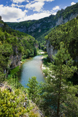 Fototapeta na wymiar Gorges du Tarn, canyon in the South of France