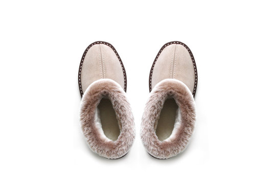 Sheepskin Slippers Images – Browse 486 Stock Photos, Vectors, and Video |  Adobe Stock