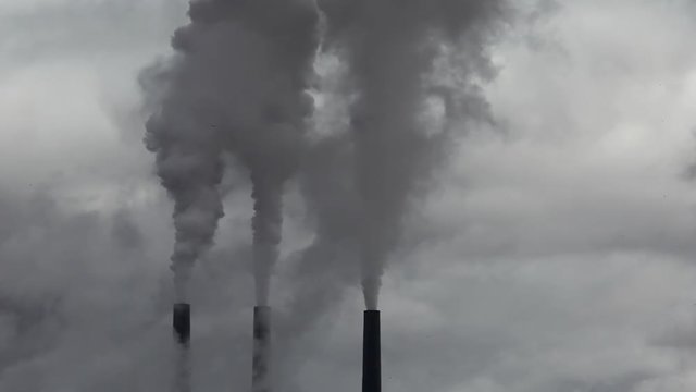 You Can See Steam Not Carbon Dioxide