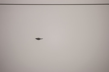 flying