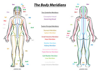 MERIDIAN SYSTEM CHART - Female body with principal and centerline acupuncture meridians - anterior and posterior view - Traditional Chinese Medicine. - obrazy, fototapety, plakaty