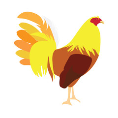 Isolated rooster on a white background, Vector illustration