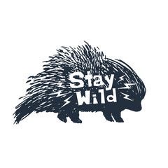 Hand drawn icon with textured porcupine vector illustration and 