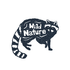Hand drawn label with textured raccoon vector illustration and 