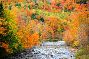 Small river flowing through Vermont fall foliage